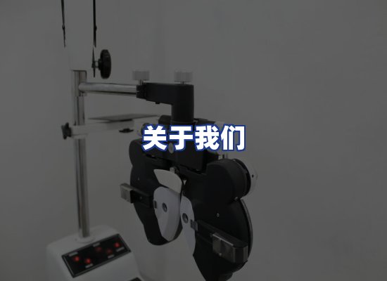 专业团队
